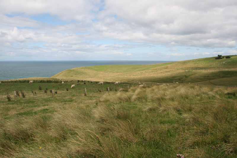 Nieuw-Zeeland 2011 - 1946